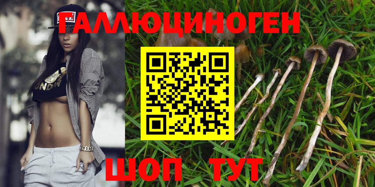 Фурманов  как найти   Вход с VPN  Галлюциногенные грибы прущие грибы 