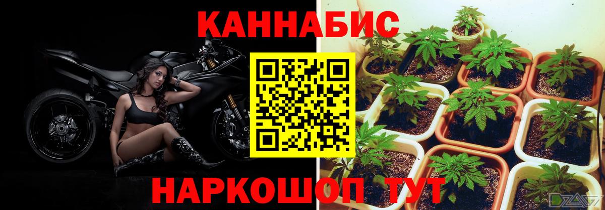 МАРИХУАНА White Widow  Каннабис White Widow  Вход с VPN  Конопля THC 21%  Фурманов 