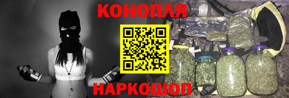 МАРИХУАНА сатива Фурманов